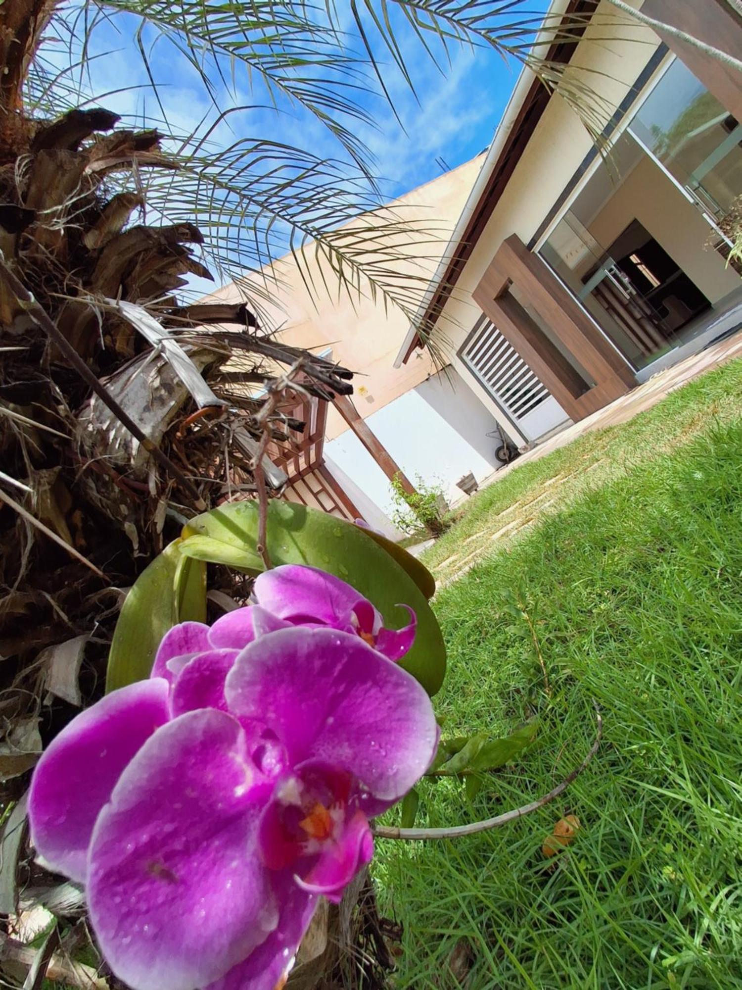 Casa Com Piscina Na Praia De Peroba Maragogi Exterior photo